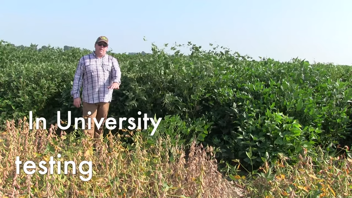 MultiMax Soybeans by Eagle Seed Hunt Ready Farms