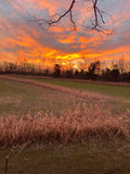 Forage Fence® (Screening, Bedding, Cover): 1 Acre