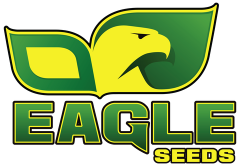 Eagle Seed Co 30-Packs (Jumbo Inoculant Treating 1500 lbs of Soybean)