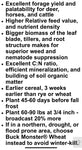 Eagle Seed Black Oats: 1/2 Acre