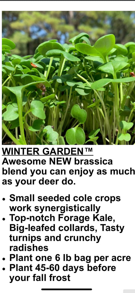 winter garden seeds Winter Garden by Eagle Seed